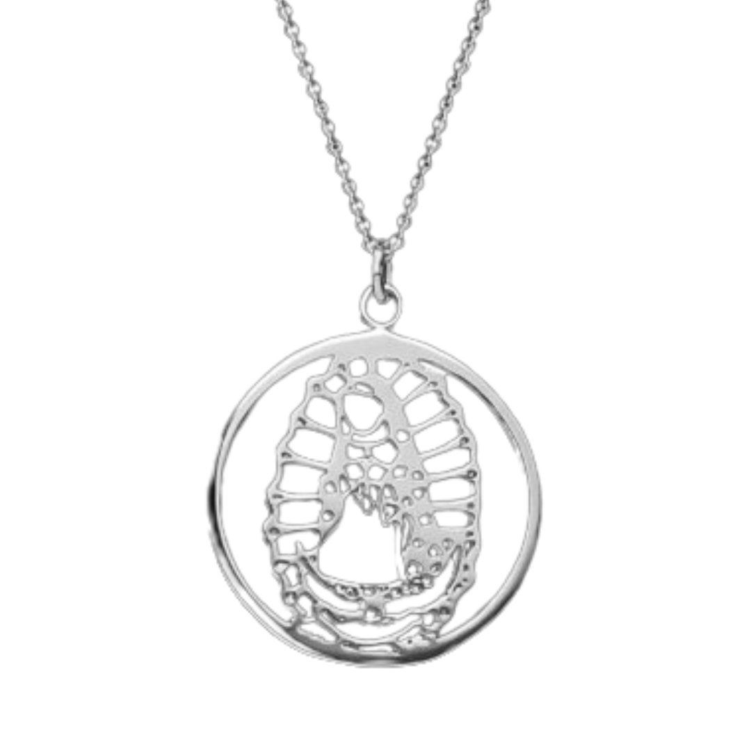 MEDALLA VIRGEN DE GUADALUPE PLATA